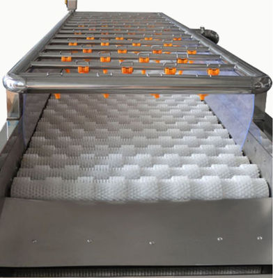 เครื่องจักรแปรรูปอาหาร 3.35KW, เครื่องทำความสะอาดสเปรย์ 1000kg / h