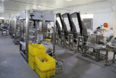 เครื่องบรรจุขวดขนาด 20KW, เครื่องห่อแบบหดอัตโนมัติ 1.2T